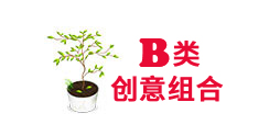 重慶創意組合植物租賃